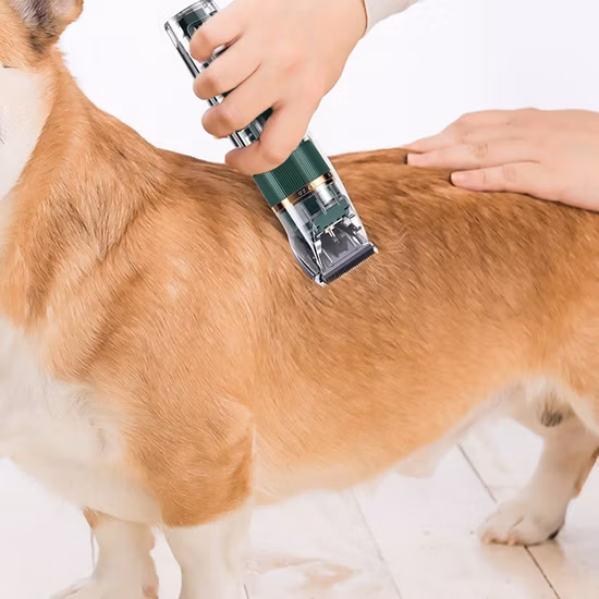 Acessórios para animais de estimação ABS Escova de cabelo de cachorro Removedor de escova Ipx7 à prova d'água Escova para cuidados com animais de estimação