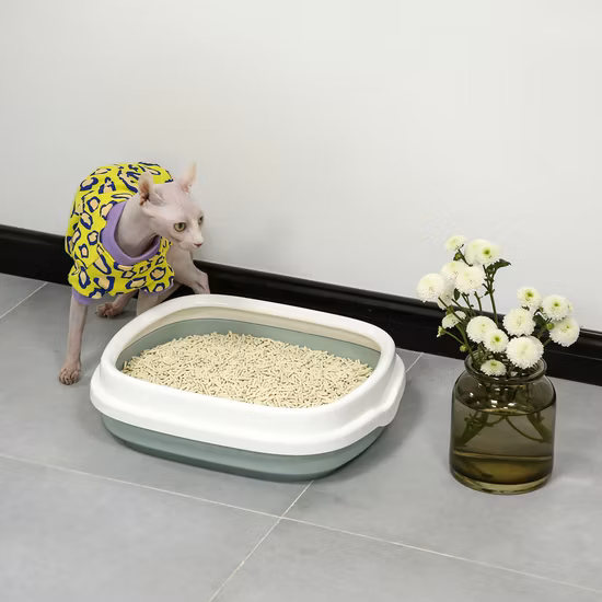 Incrível controle de odor aglomeração instantânea, lavável, fácil limpeza, produto para animais de estimação, tofu, maca de gato com alta qualidade