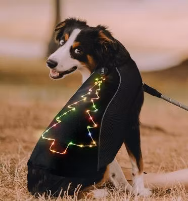 Roupa de colete LED para animais de estimação com luz piscante de árvore de Natal personalizada
