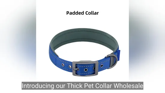 Produtos para cães pequenos de nylon, suprimentos para animais de estimação, coleira para animais de estimação