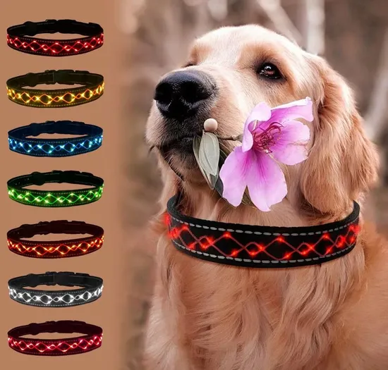 Coleiras LED bordadas personalizadas para animais de estimação Coleira LED ajustável para cães
